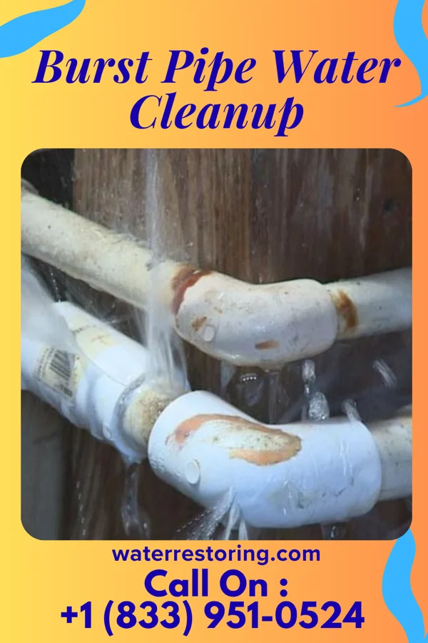 Burst Pipe Water Cleanup in Bethlehem, NC