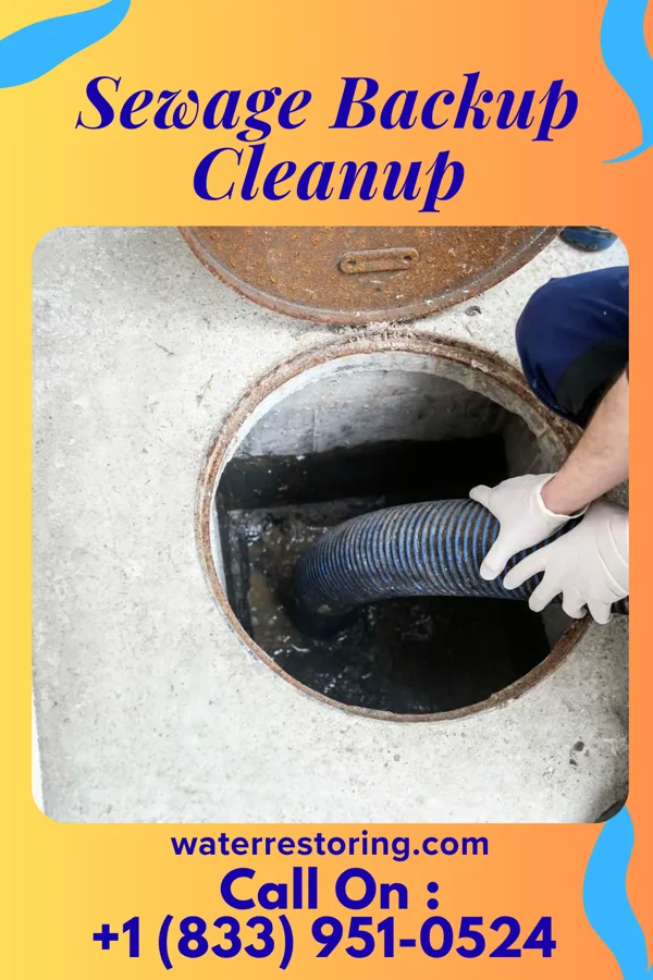 Sewage Backup Cleanup in Bethlehem, NC
