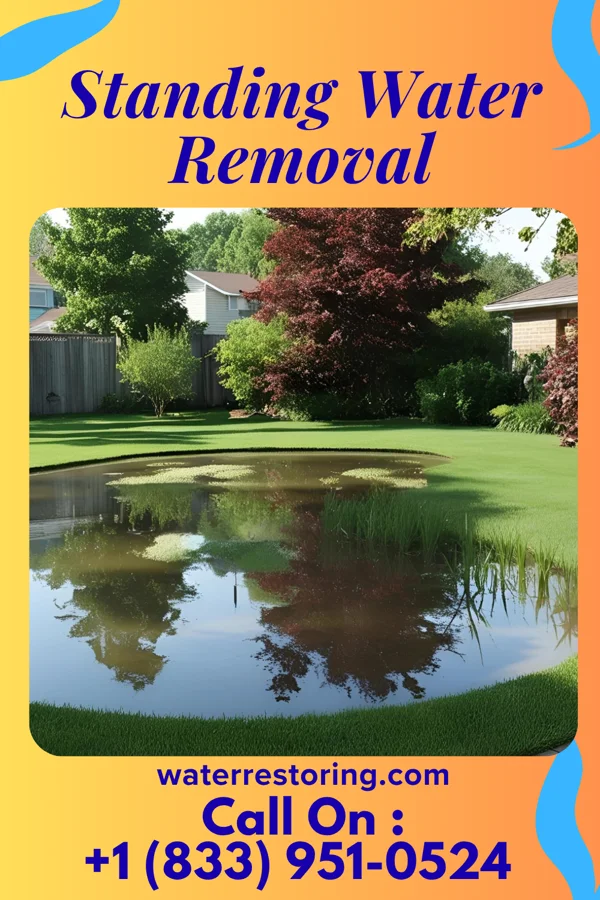 Standing Water Removal in Bethlehem, NC
